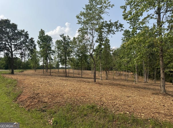 Lot 2 Happy Hollow, Roopville, GA 30170