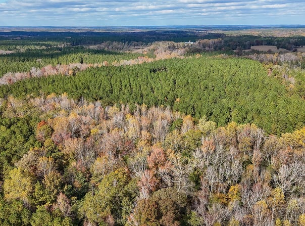 407 County Road 258, Five Points, AL 36862