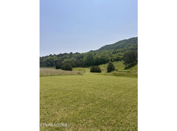 Waterfront Knoll, Sharps Chapel, TN 37866