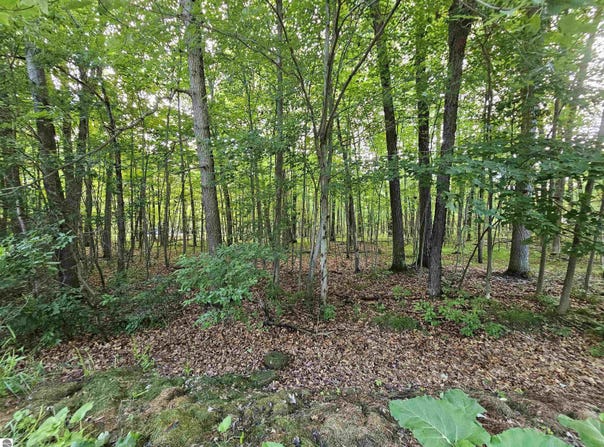 lOT 6 Jose Lake Drive, South Branch, MI 48761