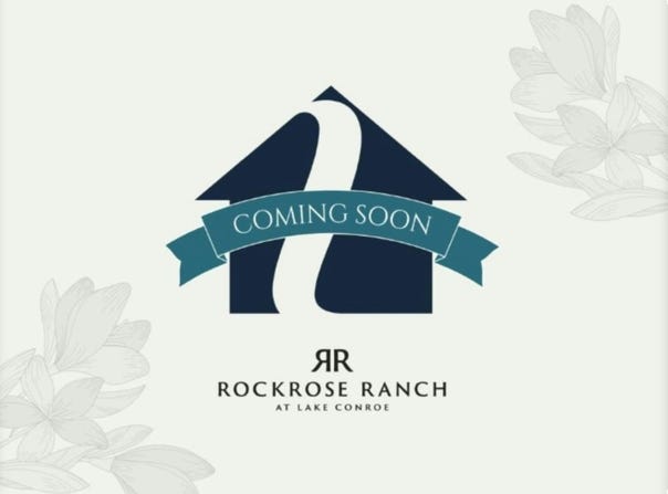 40 Open Range Trail, Willis, TX 77318