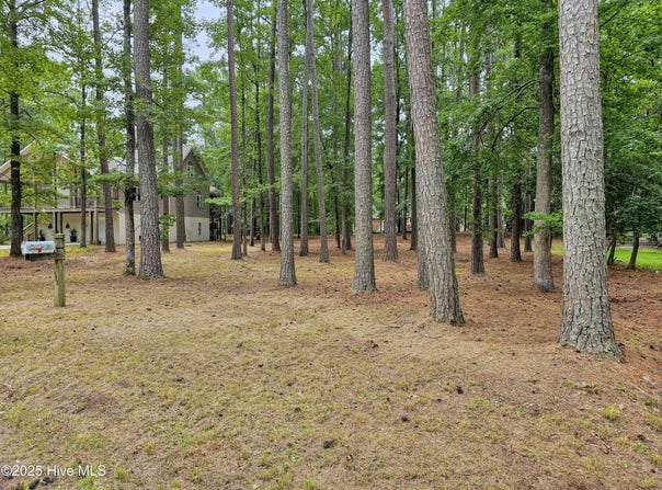 103 Greenbriar Lane lot: 133, Washington, NC 27889