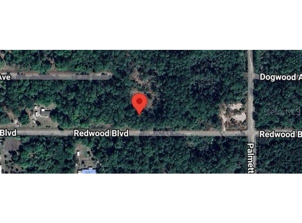 324 REDWOOD BOULEVARD, GEORGETOWN, FL 32139