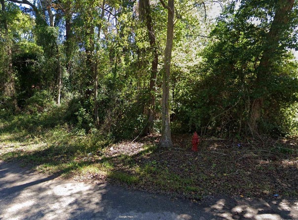 Elm St., Johnsonville, SC 29555