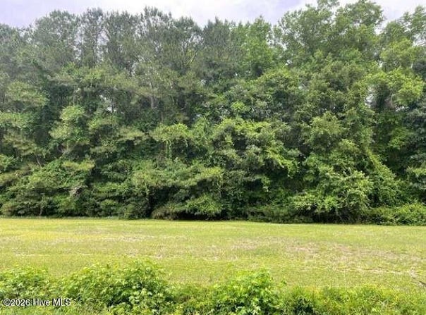 Point Caswell Road, Watha, NC 28478