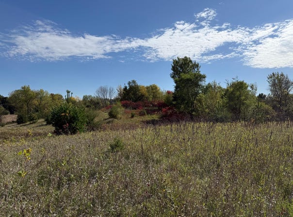 Canby, Webster, MN 55088