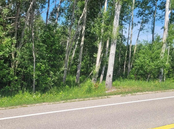 00 Ellsworth Road, Ellsworth, MI 49729-9999