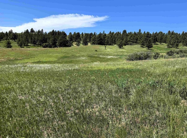 11 Tower Ridge Drive, Devils Tower, WY 82714