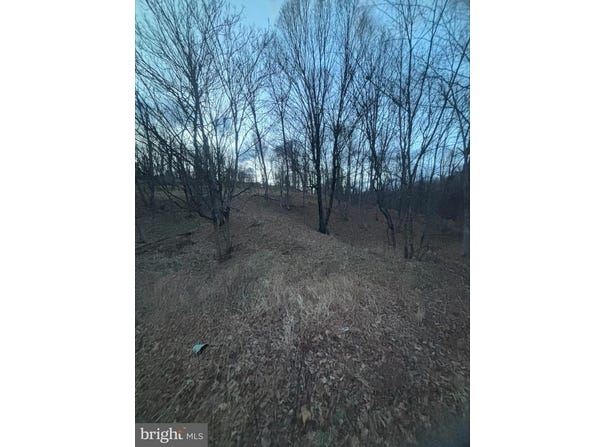 LOST RUN, LEVELS, WV 25431