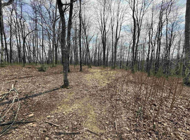 The Vale Road lot: 1, Bridgeport, WV 26330