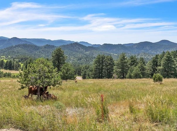 Beulah Highlands Road, Beulah, CO 81023