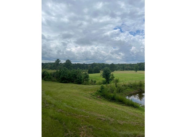 143 ALEXANDER TUBBS Ln, Nauvoo, AL 35578