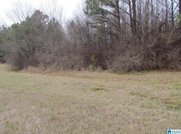 HIGHWAY 280 lot: 1, HARPERSVILLE, AL 35078