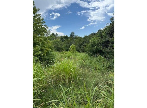 0 Moneta RD, Bedford, VA 24523