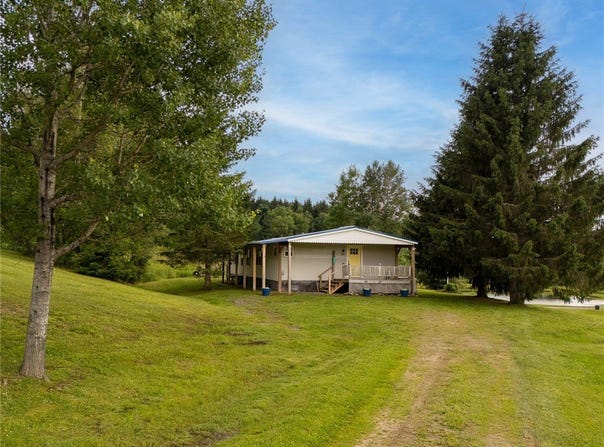 1635 Chipmunk Hollow Road, Walton, NY 13856