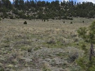 TBDD CR 634.4, Gardner, CO 81040