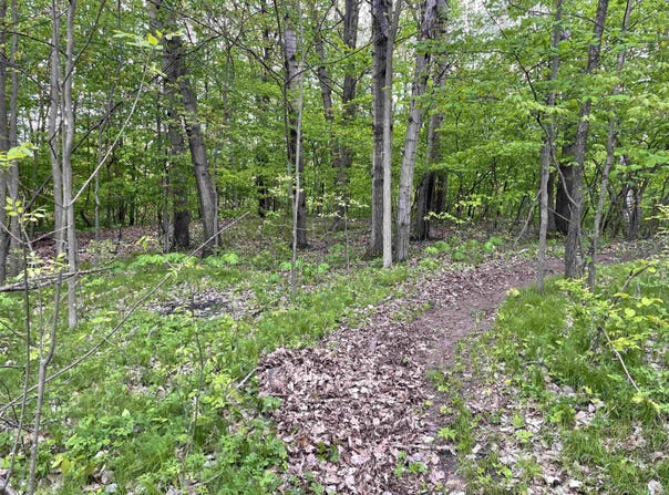 587 CROSS COUNTRY Court, HOBART, WI 54155-0000