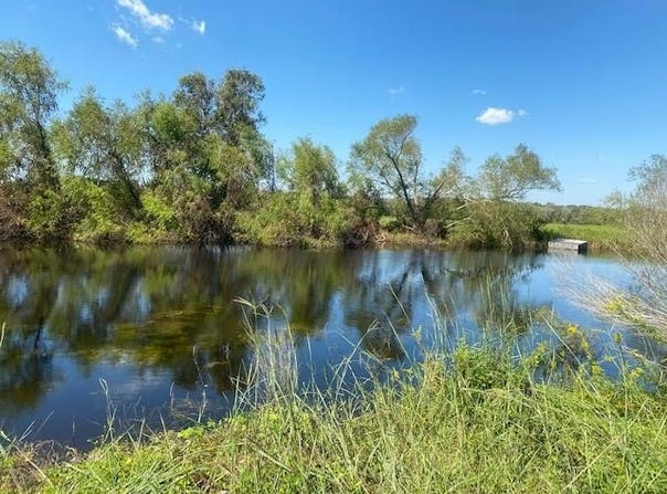 573 CR 154, Cedar Lane, TX 77414