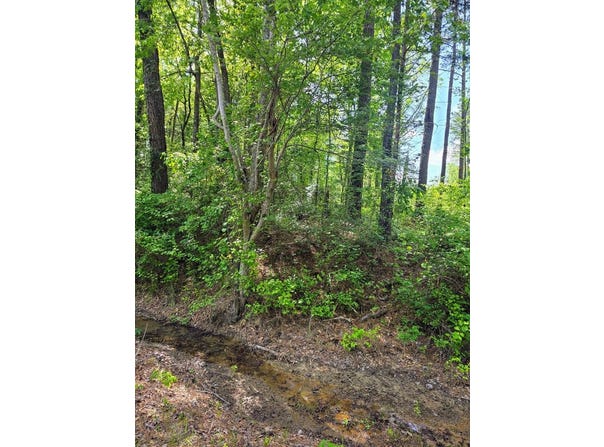 279 County Road 53, Skipperville, AL 36374