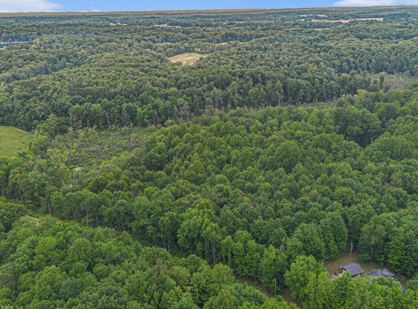 0 E Clear Lake Road, Buchanan, MI 49107