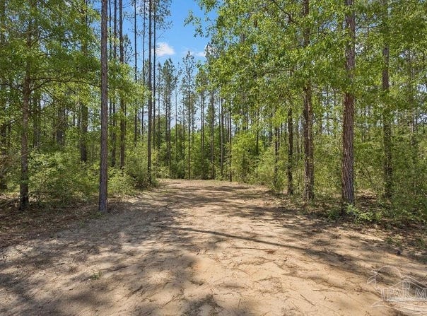 11.42 Acres Edge Forest Way, Pace, FL 32571