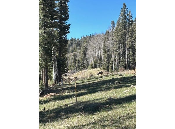 Lot 1567 Cascade Overlook, Angel Fire, NM 87710