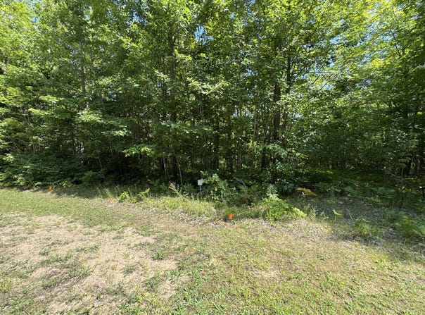 S Deer Run Rd, Kinross, MI 49752