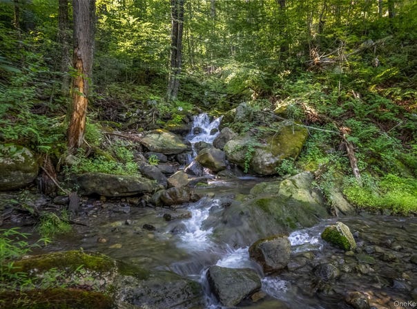 Old Plank Road, Cragsmoor, NY 12420