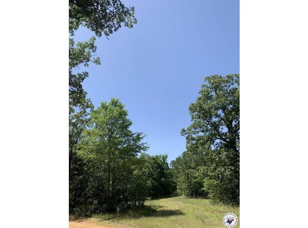 40 Acres PR 1187, Texarkana, AR 71854