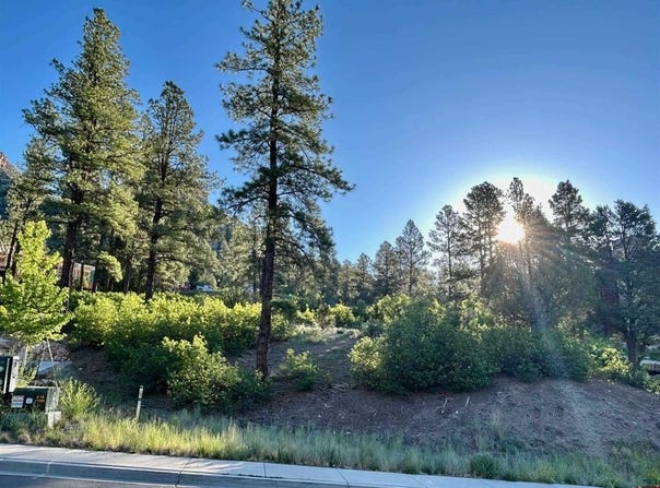 24 Bell Flower Court, Durango, CO 81301