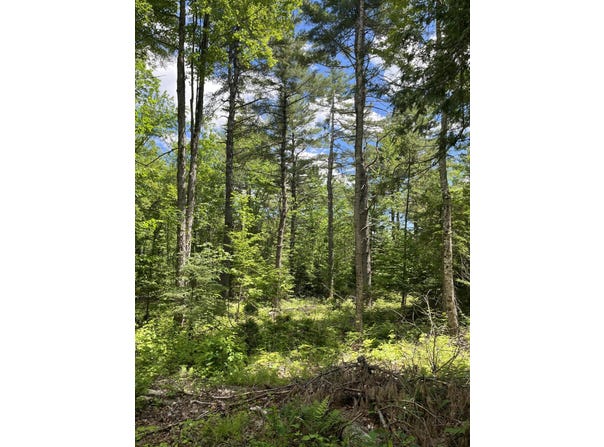 M4L3,5 Fickett Road, Etna, ME 04434