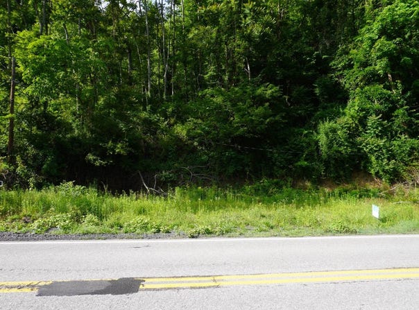 2113 Rt. 52, Gilbert, WV 25621