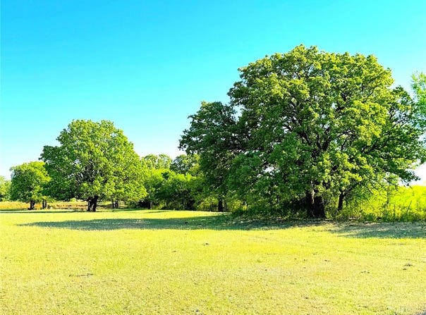 Tbd Mcmillan Road, Mineral Wells, TX 76067