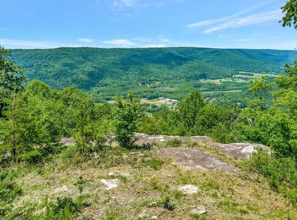 225 Bobcat Trail, Jasper, TN 37347