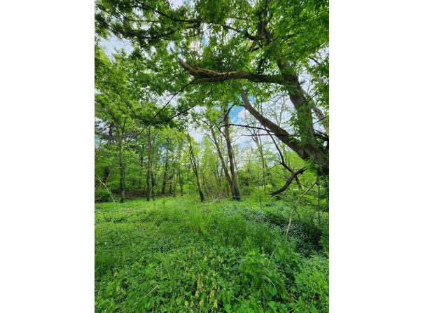 0000 Rineyville Big Springs Rd, Rineyville, KY 40162