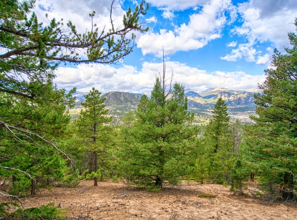0 Windham Drive, Estes Park, CO 80517