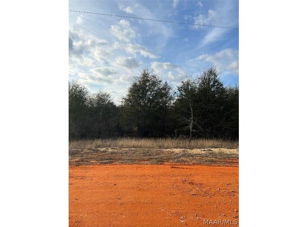 Deer Loop lot: 22, Camden, AL 36726
