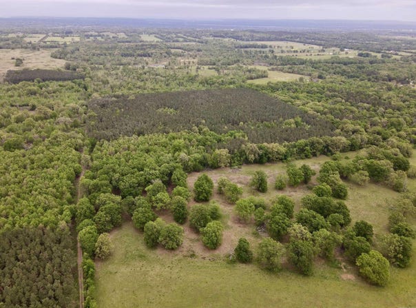 Dardanelle, AR 72834