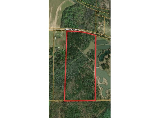26 acres Reed Patch Rd, Black, AL 36314
