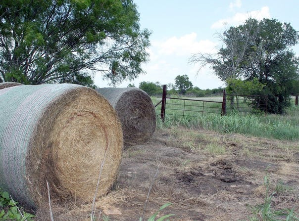 Tbd FM 86 Highway, Lockhart, TX 78644