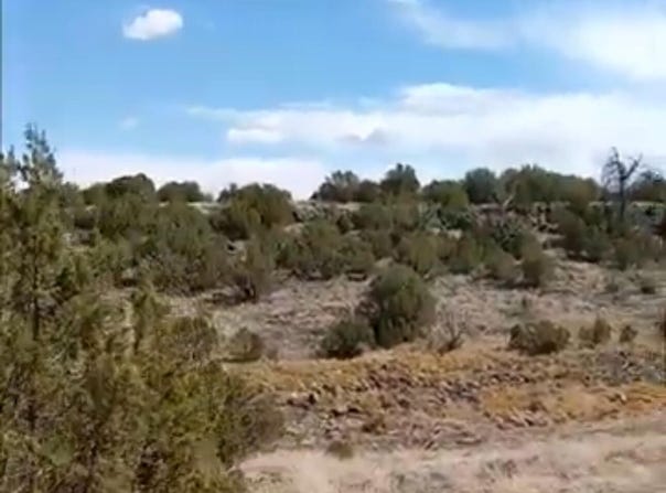8594 BOBCAT Drive, Show Low, AZ 85901
