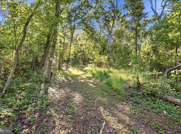 VALLEY PARK Court, STRASBURG, VA 22657