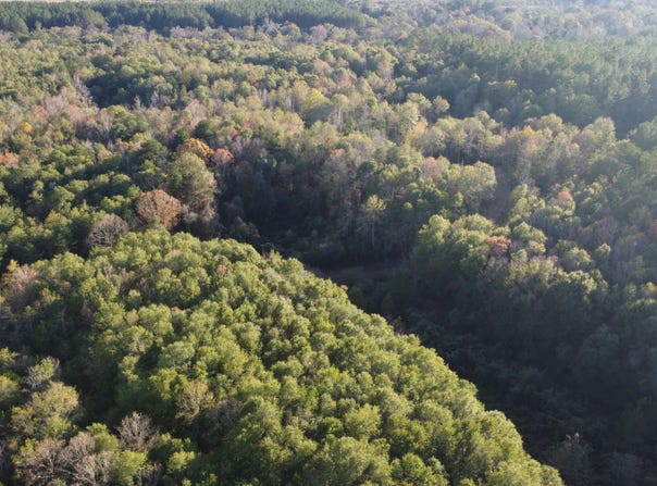 10 Mile Creek Road, Foxworth, MS 39483