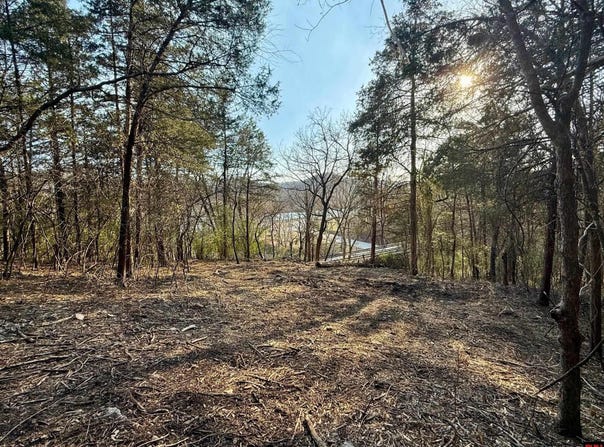 004-00632-000 HWY 345, Cotter, AR 72626