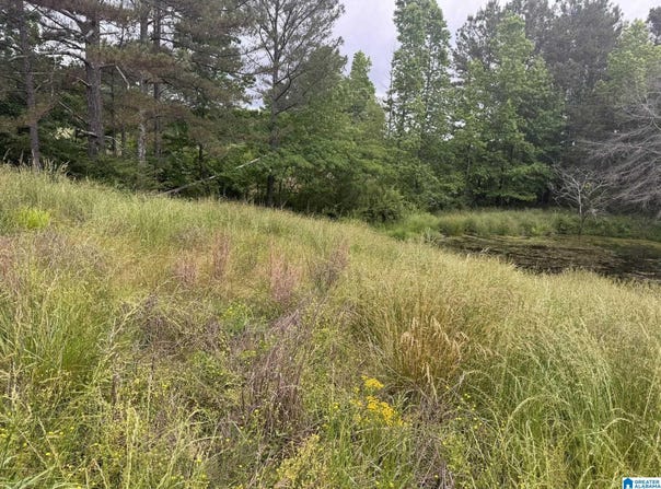 0 BUSBY CUT OFF ROAD, NAUVOO, AL 35578