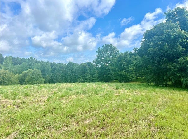 Hidden Falls Drive, West Union, SC 29696