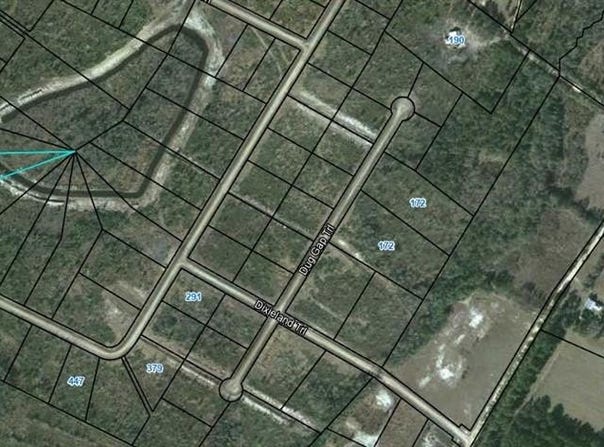 Lot 91 Picketts Mill Trail, Waynesville, GA 31566