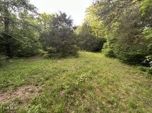 Carlos Road, Sneedville, TN 37869