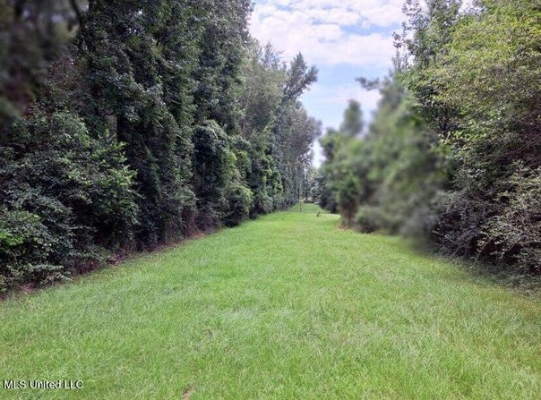 Colonial Drive, Magee, MS 39111