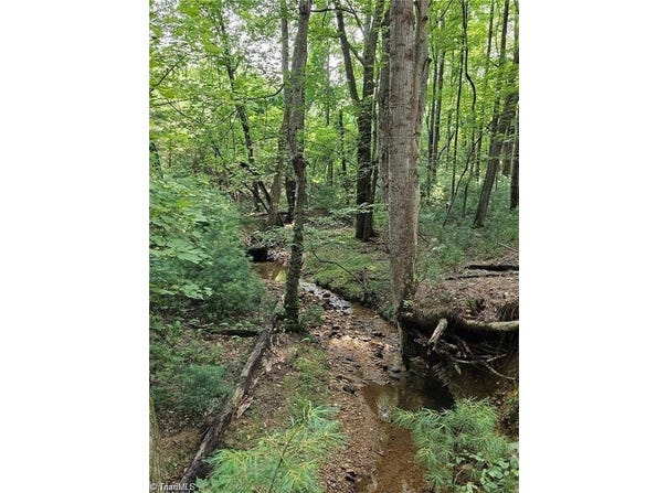Lot 82 Mcintosh Drive, Lowgap, NC 27024